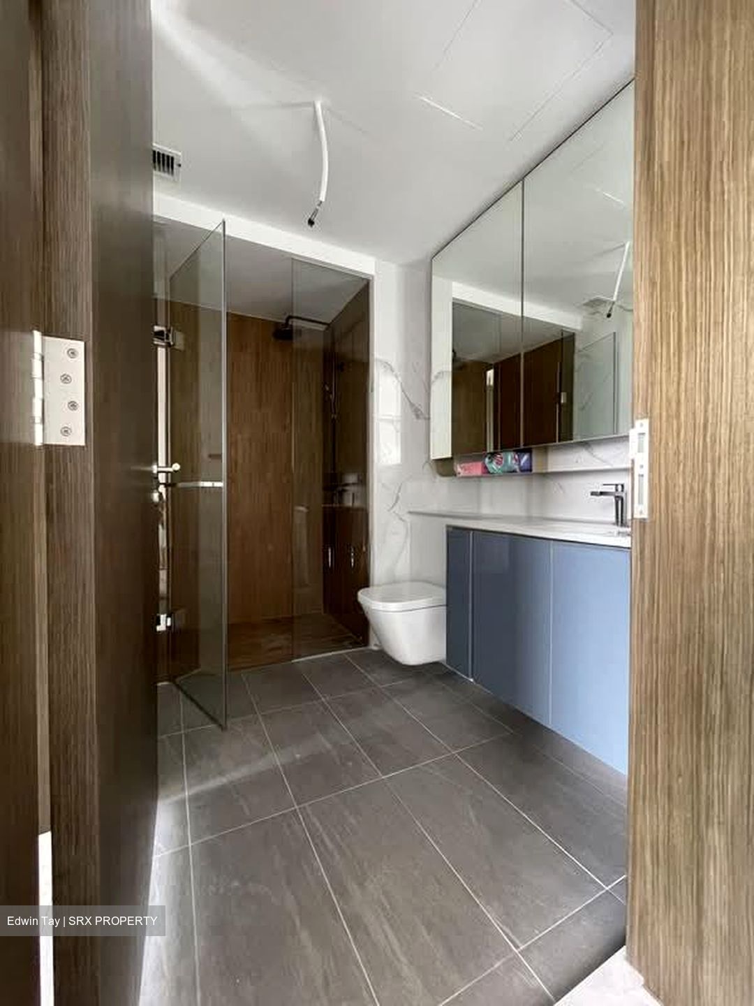 Amo Residence (D20), Apartment #590826871